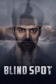 Blind Spot (2025) Hindi Dubbed