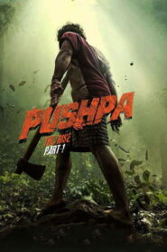Pushpa: The Rise – Part 1 (2021) Hindi Dubbed AMZN