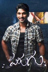 Veertaa The Power – Parugu (2008) Hindi Dubbed