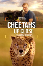 Cheetahs Up Close with Bertie Gregory (2026) Hindi Dubbed