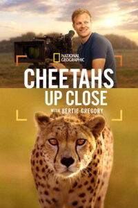Cheetahs Up Close with Bertie Gregory (2026) Hindi Dubbed