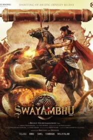 Swayambhu (2026) Hindi HDTC