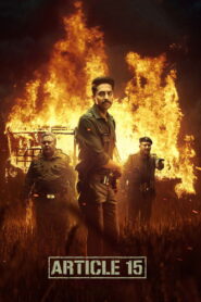 Article 15 (2019) Hindi HD Netflix