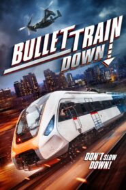 Bullet Train Down (2022) Hindi Dubbed