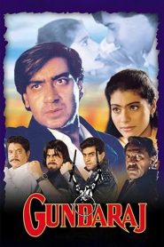 Gundaraj (1995) Hindi HD