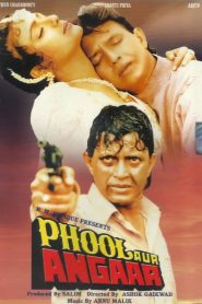 Phool Aur Angaar (1993) Hindi Dubbed
