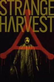 Strange Harvest (2025) Hindi Dubbed AMZN