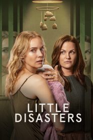 Little Disasters (2025) Hindi Season 1 Complete AMZN