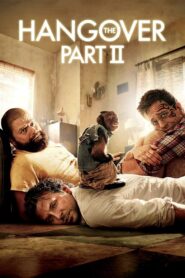The Hangover Part II (2011) Hindi Dubbed