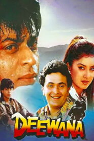 Deewana (1992) Hindi Dubbed