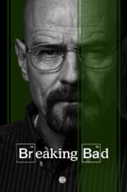 Breaking Bad (2012) Hindi Season all Complete