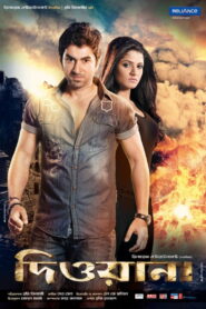 Deewana (2013) Hindi Dubbed