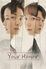 Your Honor (2018) Hindi Season 1 Complete