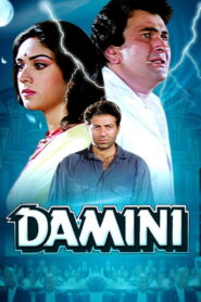 Damini (1993) Hindi HD