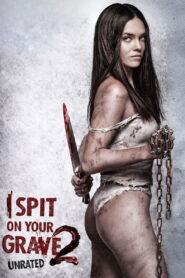 I Spit on Your Grave 2 (2013) Hindi Dubbed
