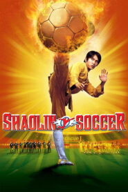 Shaolin Soccer (2001) Hindi Dubbed