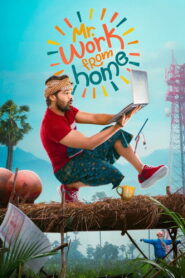 Mr. Work from Home (2026) Telugu HDTC